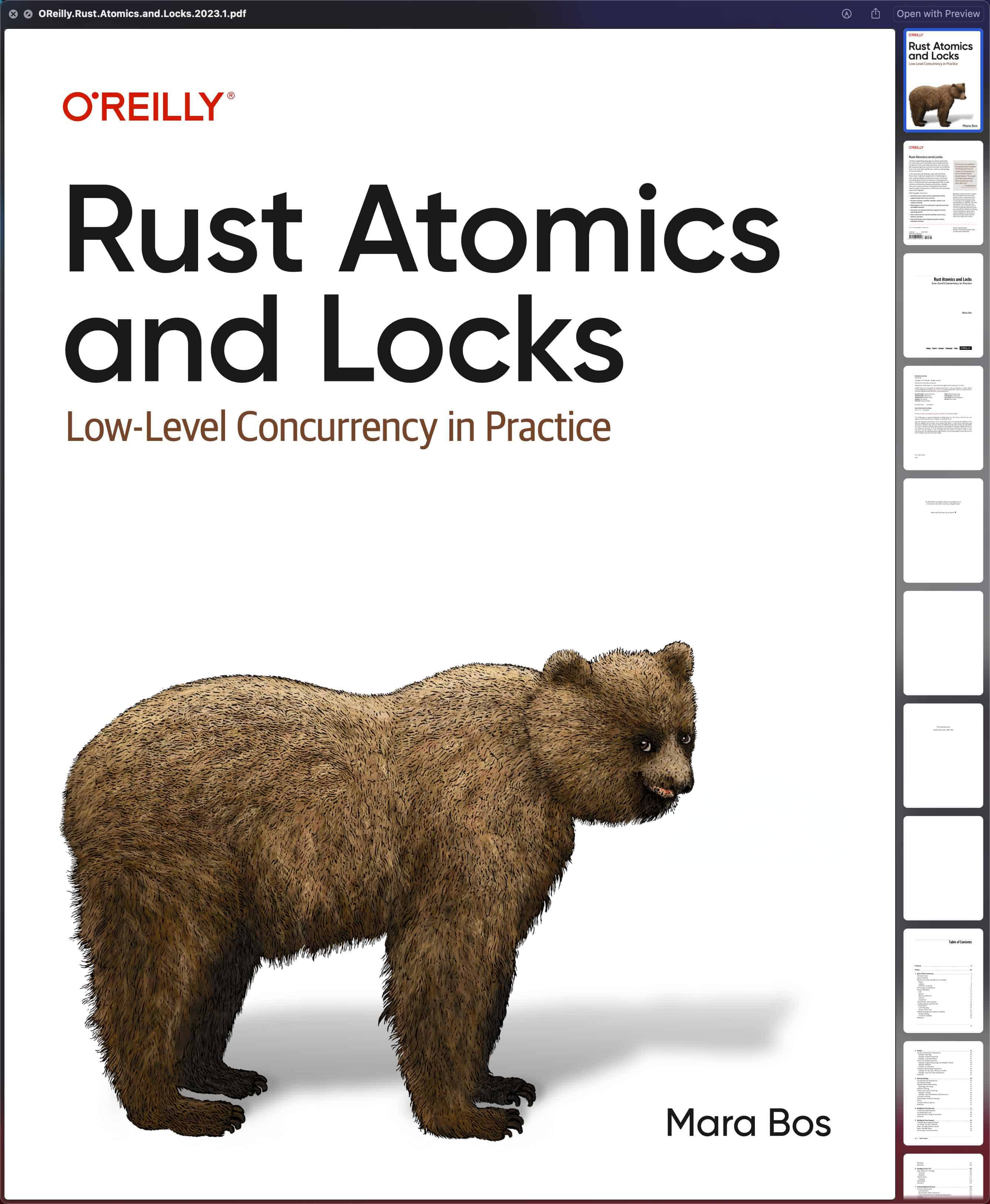 Rust Atomics and Locks 中文翻译版